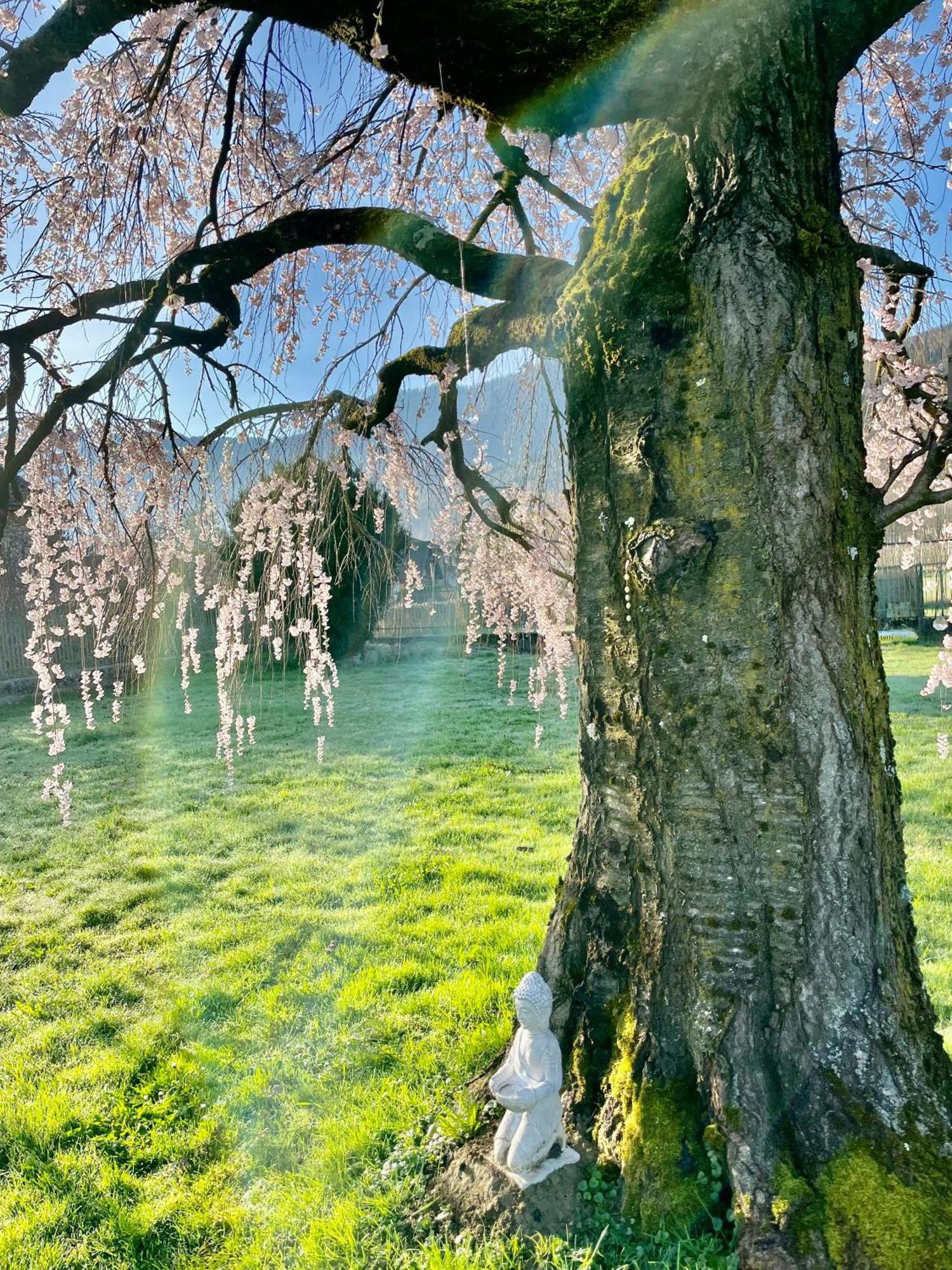 Paradiso Sul Lago Кальчераника-аль-Лаго Экстерьер фото